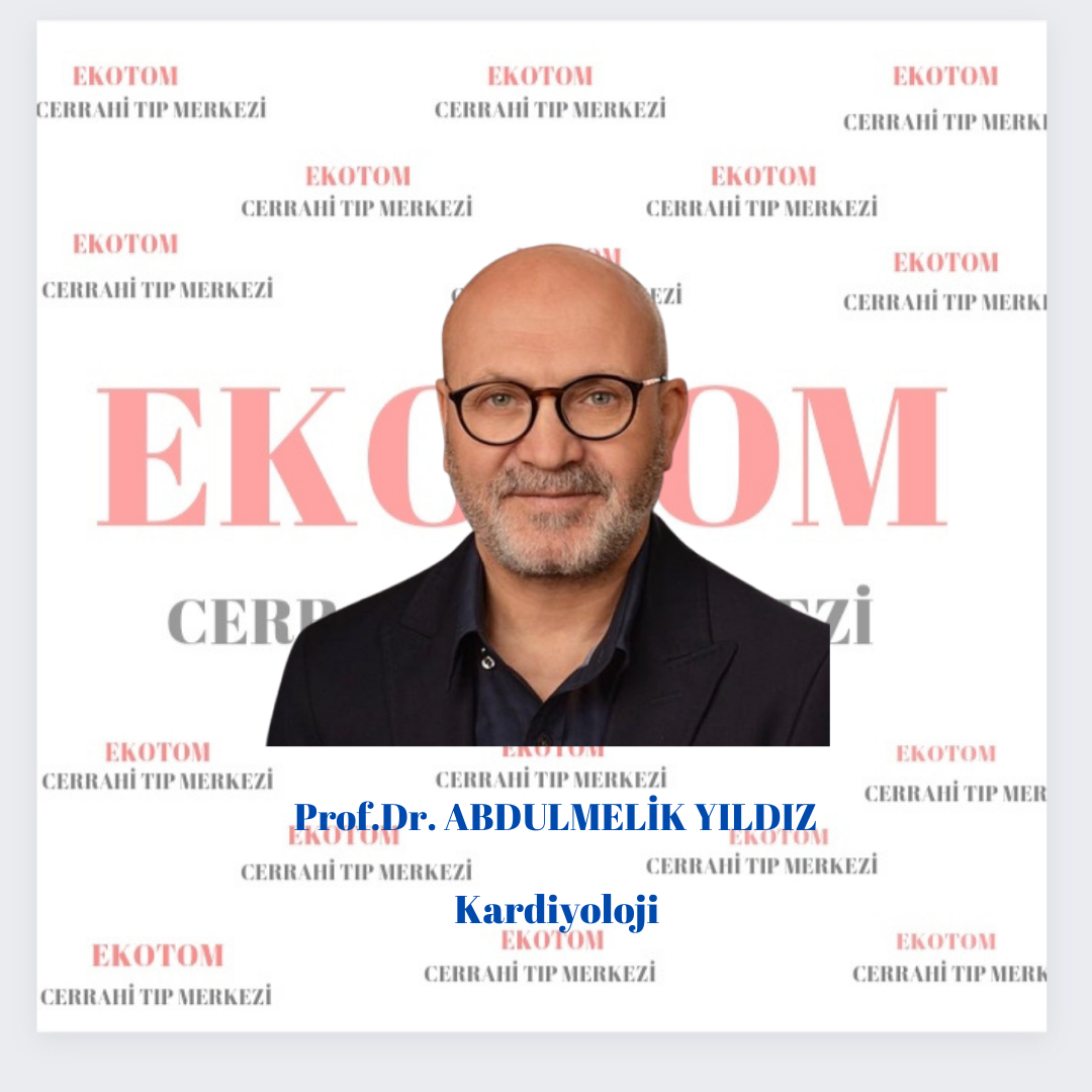 Abdulmelik YILDIZ